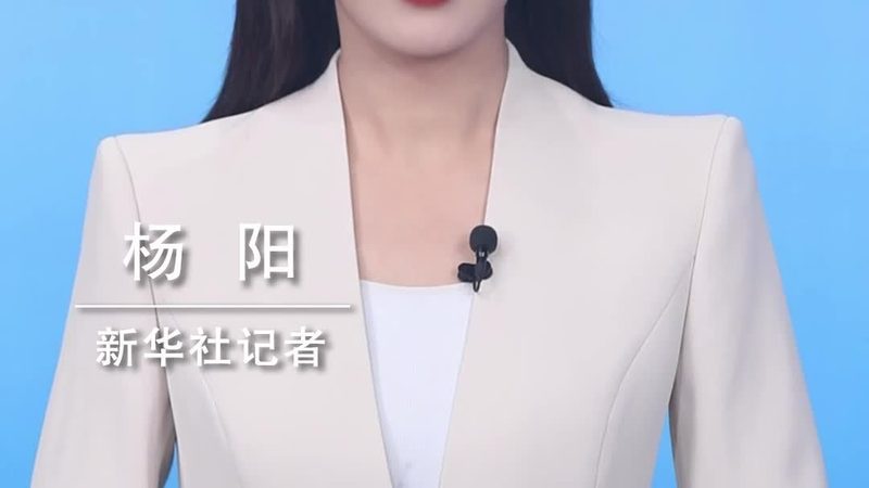 数据治理生命周期管理：企业数据价值的全流程守护